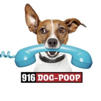 Doo Doo Squad, LLC Logo