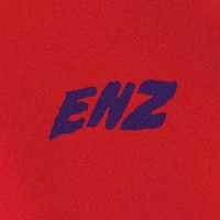Enzeaux Logo