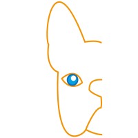 Studio NRG Blue Logo