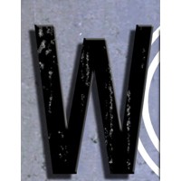 Wild Wind Productions Logo