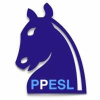 PPESL P&P European Services Limited Logo