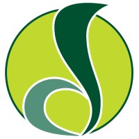 Dollinger Management Logo