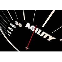MaxAgility Corporation Logo