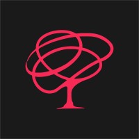 Insight Picture Co. Logo