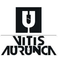 Vitis Aurunca Logo
