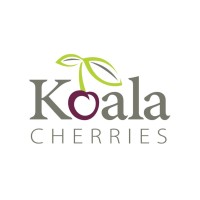 Koala Cherries Logo