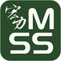 Megastrength Security Services Logo