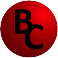 Bernaerts Consulting BV Logo