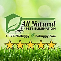 All Natural Pest Elimination Logo