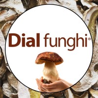 DIAL FUNGHI srl Logo