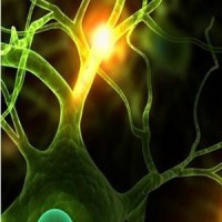 NeuroGen Technologies Inc. Logo