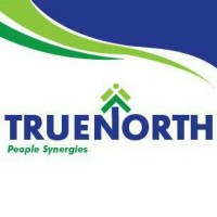 True North Consult Limited Logo