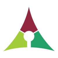 Brady Perspectives Logo