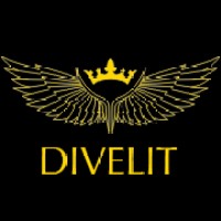 DIVELIT system s.r.o. Logo