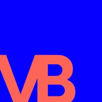 VIZBAY Logo
