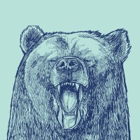 Barefaced Stories Logo