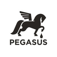 Podjetniški center Pegasus Logo