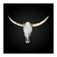 Vier für Texas Logo
