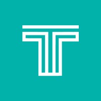 TechTidy Consulting Logo