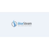 Bluesteam Wellpad Solutions Logo