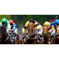 Web Gaming Consultants Logo