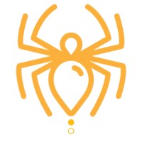 we collect spiders Logo