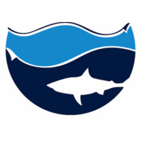 Shark Share Global Logo