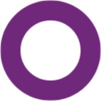 Sarah Birken, Strategic Sensemaker™ Consulting Logo