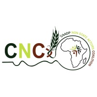 CAADP NON-STATE ACTORS COALITION Logo