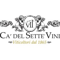 CA DEL SETTE Logo