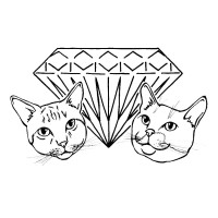 Two Cats Artifacts Logo