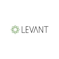 Levant Software House Logo