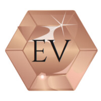 Extraordinary Vision Solutions, Inc Logo