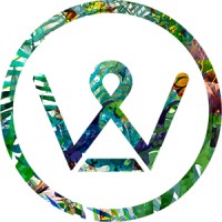 lionsmedia agency Logo