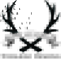 Staghead Designs Logo