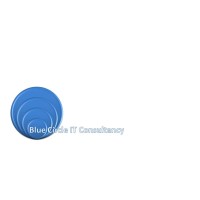 Blue Circle IT Consultancy LTD Logo