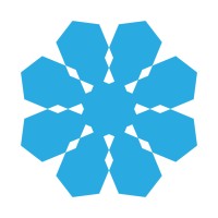 Near Future Marketing Inc. Logo