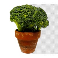 Best Clipping Masking Logo