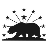 Dark Igloo Logo