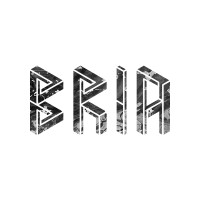 BRIA Logo