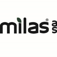 Milas AS Logo