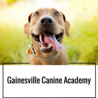 Gainesville Canine Academy Logo