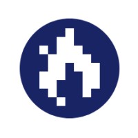 Blue Fire Leads Logo