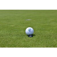 Forest Lake Country Club Logo
