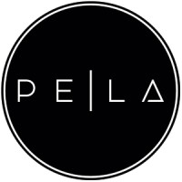 P.E. / L.A. Consulting Logo
