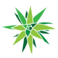 Tucson Desert Art Museum Logo