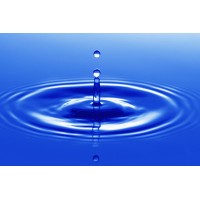 Honest Drain Solutions LLC Logo