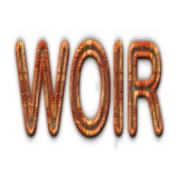 WOIR Software India Pvt. Ltd. Logo