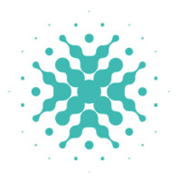 Cyber Indemnity Solutions Logo