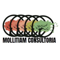 MOLLITIAM Consultoria LTDA Logo